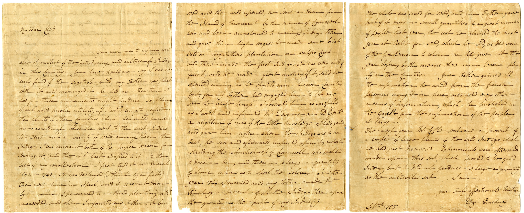<b>Letter from Eliza Lucas Pinckney (1722-1796) to her son, Charles Cotesworth Pinckney (1746-1825), dated September 10th 1785, describing the early days of indigo cultivation in South Carolina during the 1740s. Courtesy of the Charleston Library Society.</b>