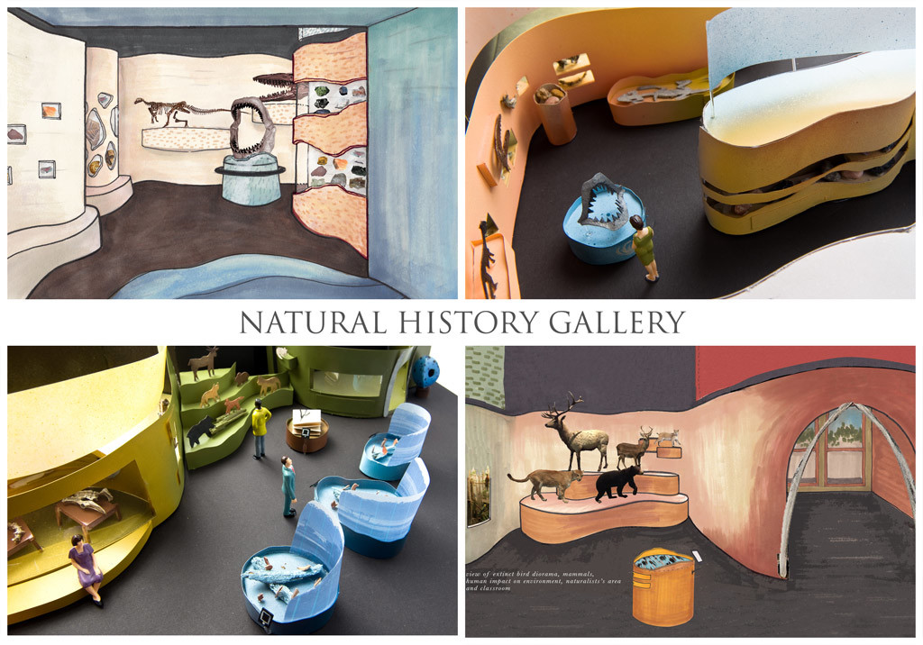 Naturla-History-Gallery-The-Charleston-Museum-vs03