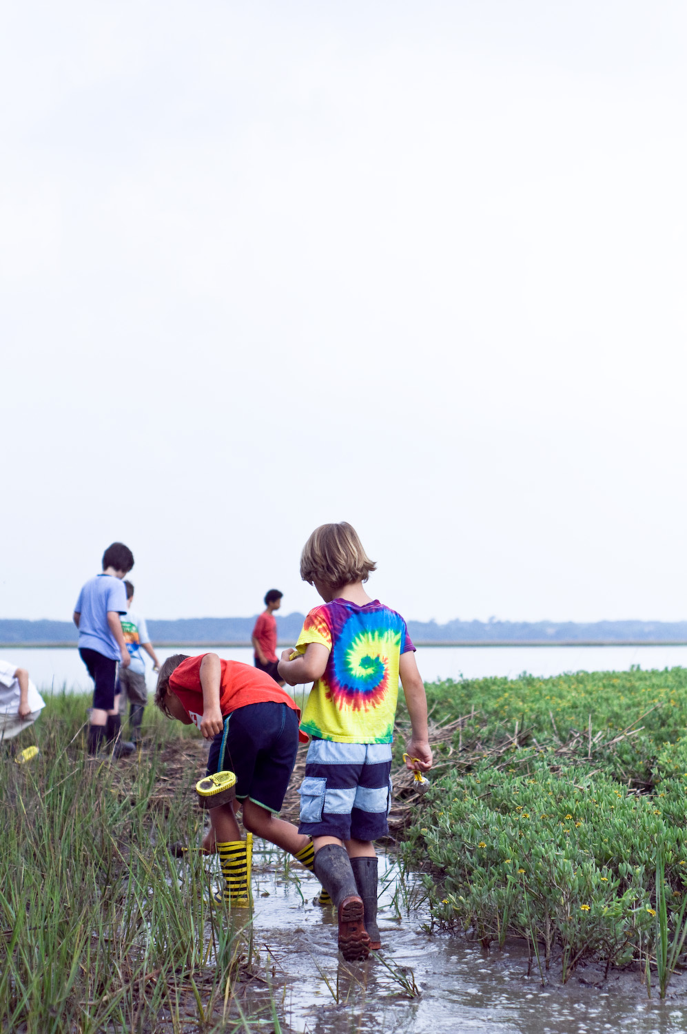 Nature Trailers Summer Camp at The Dill Sanctuary - Ages 5-10