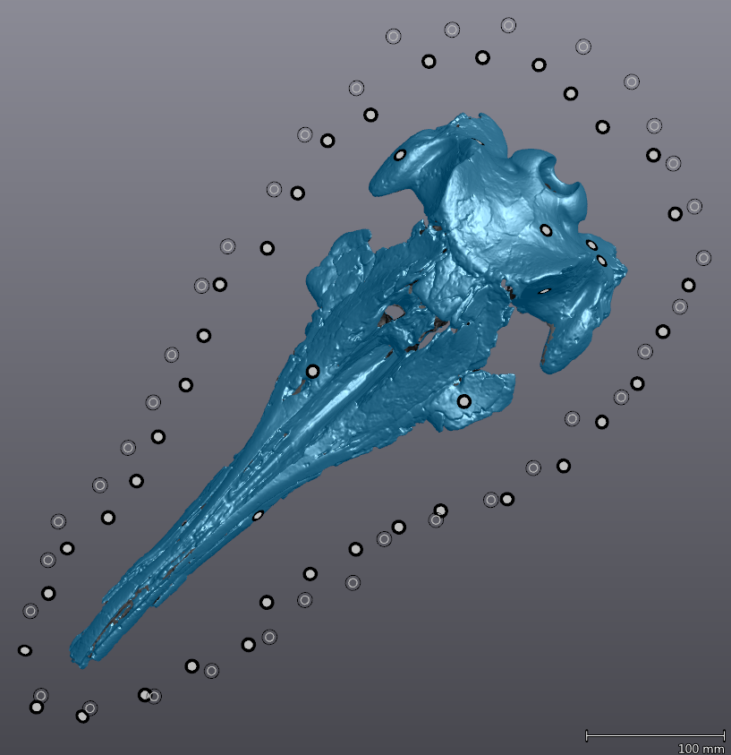 2016 Fall Lecture Series: Technology and Paleontology - 3D Scanning Fossils