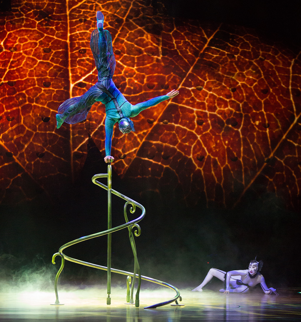 Cirque du Soleil OVO preview