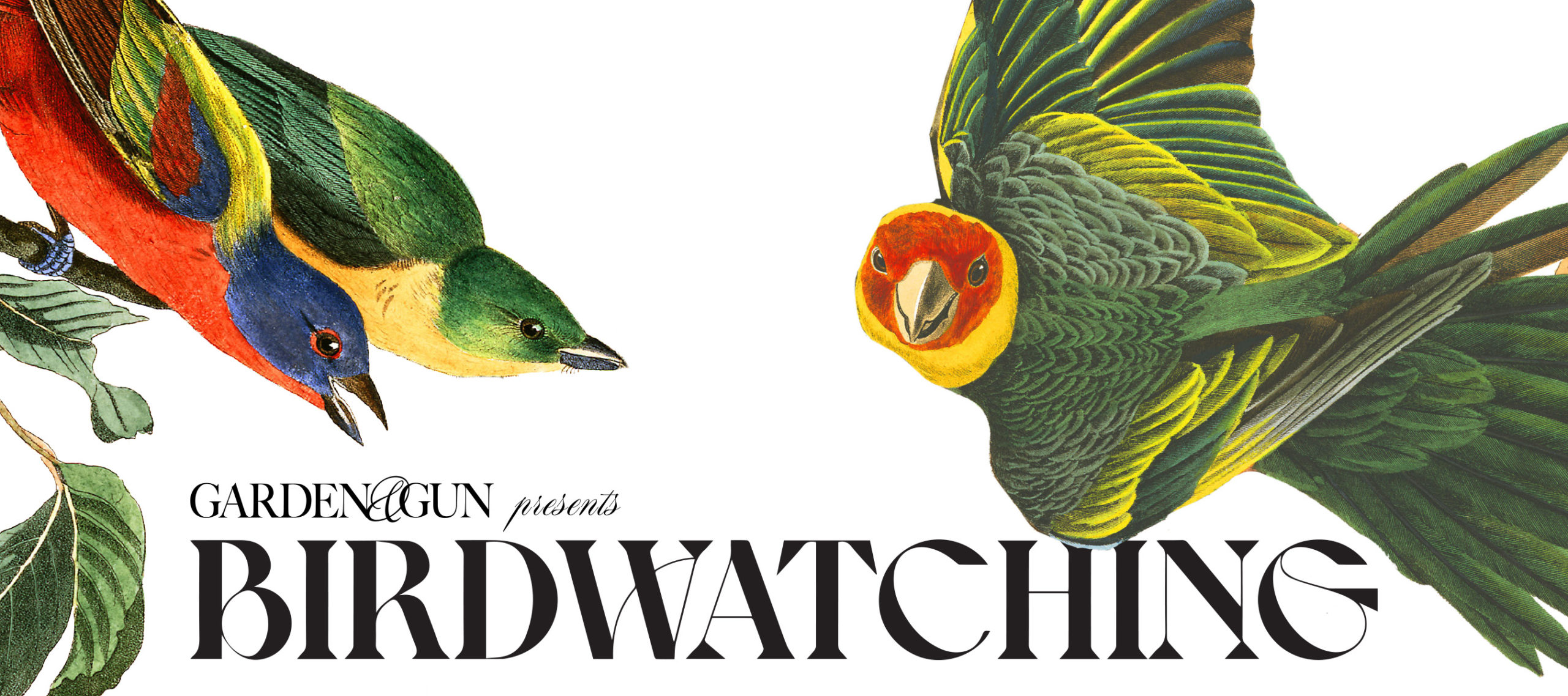 BIRDWATCHING on view at the Joseph Manigault House