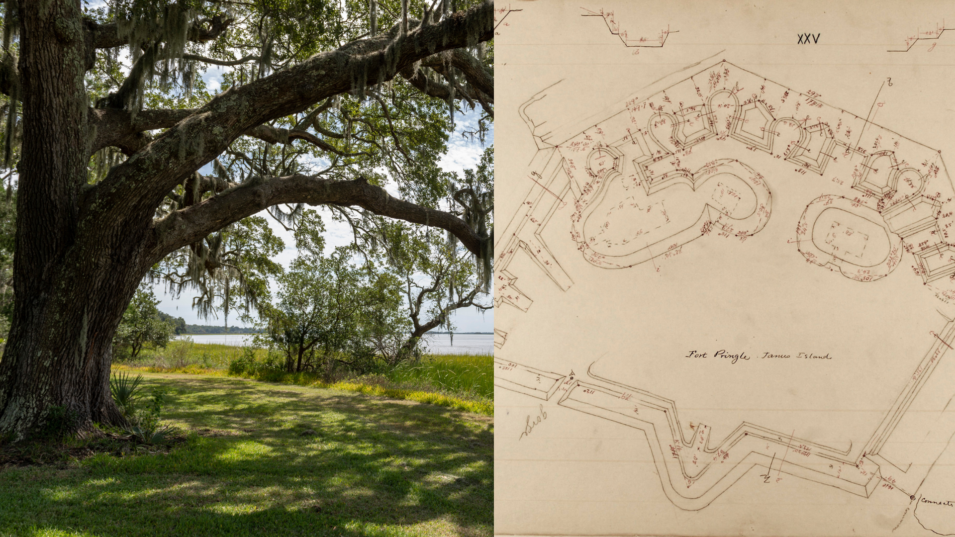 From Birds to Batteries: An In-depth Ecology and Historical Walking Tour of Battery Pringle